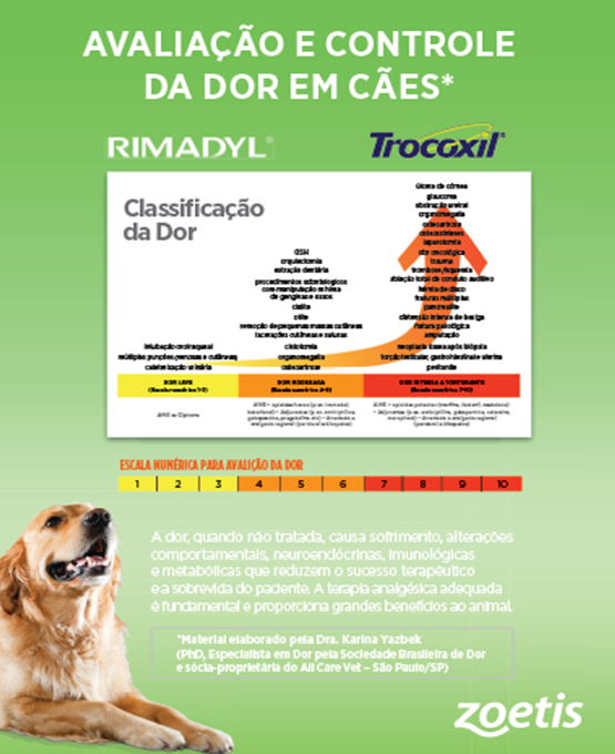 Protocolos de analgesia em cães