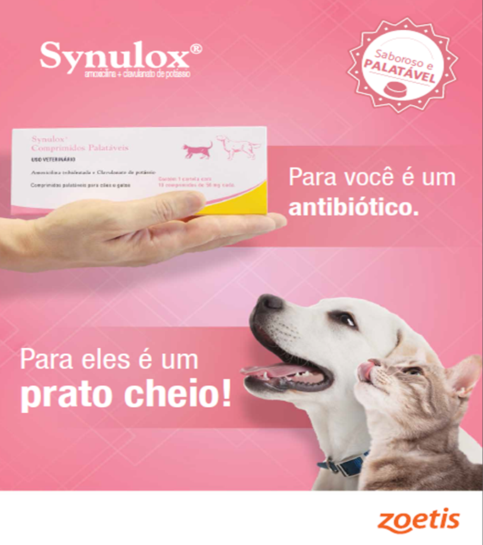Synulox - folheto técnico