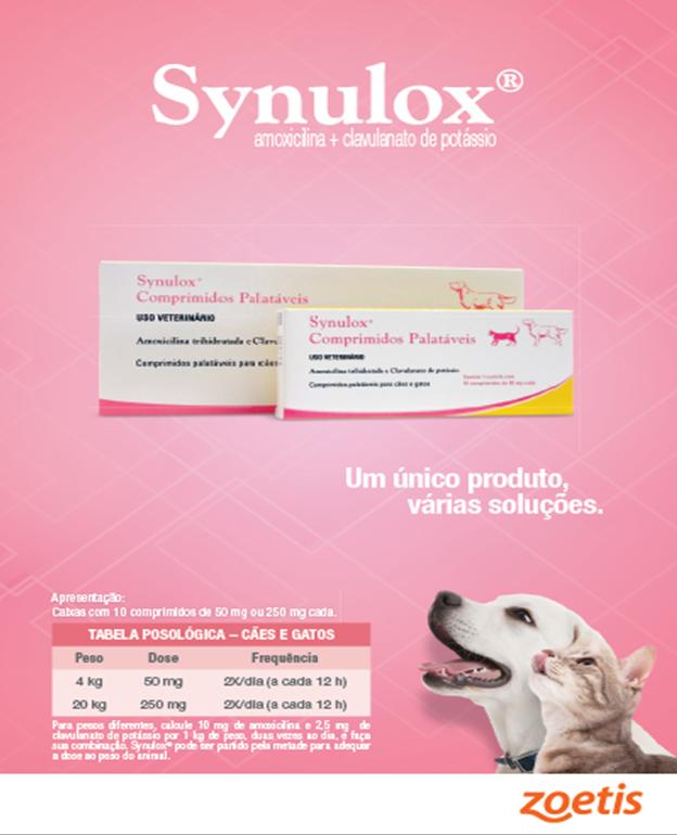 Synulox - pontos importantes na escolha e administração de
        um antimicrobiano