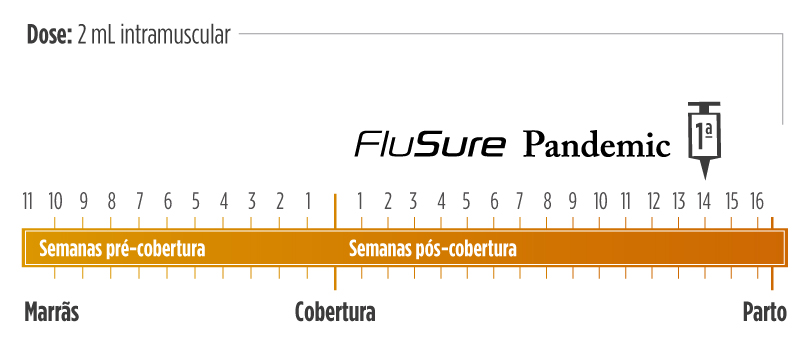 Protocolo Influenza Marr&atilde;
