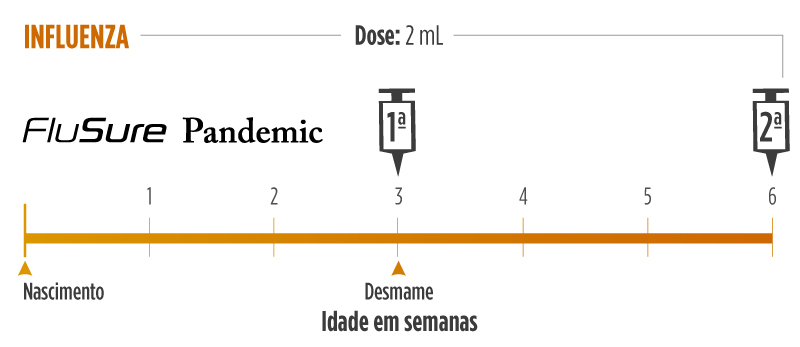 Protocolo vacina influenza Leit&atilde;o