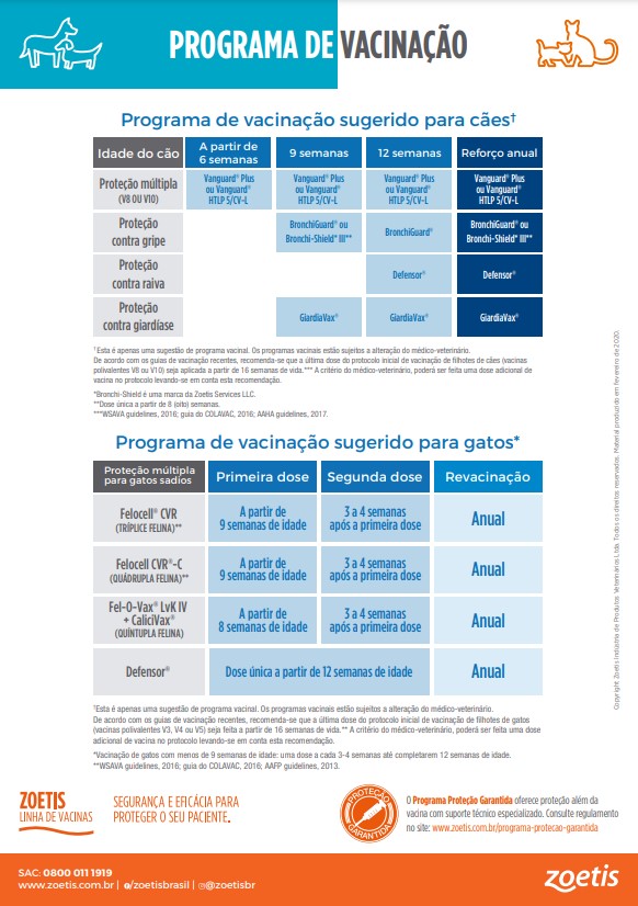 protocolo vacional para c&atilde;es e gatos