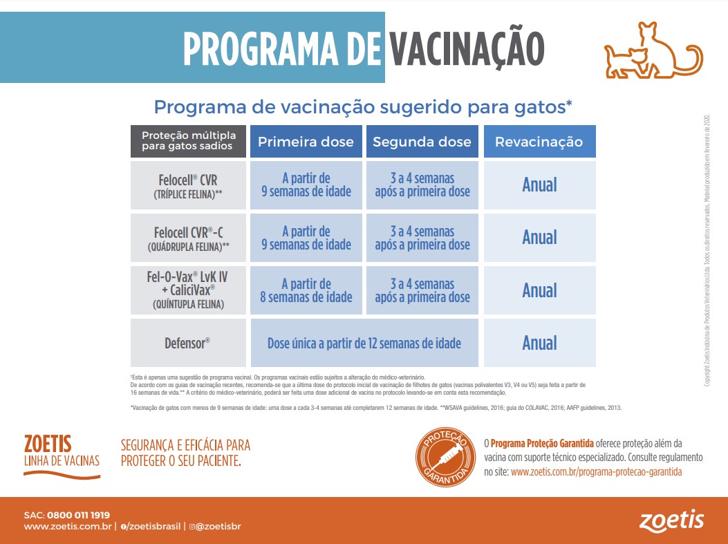 protocolo vacional para gatos