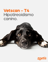 Vetscan – Hipotireoidismo canino.