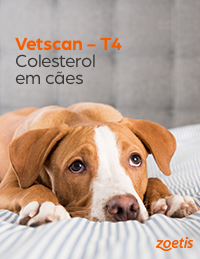 Vetscan - T4 – Colesterol em cães