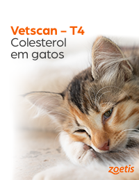Vetscan - T4 – Colesterol em gatos