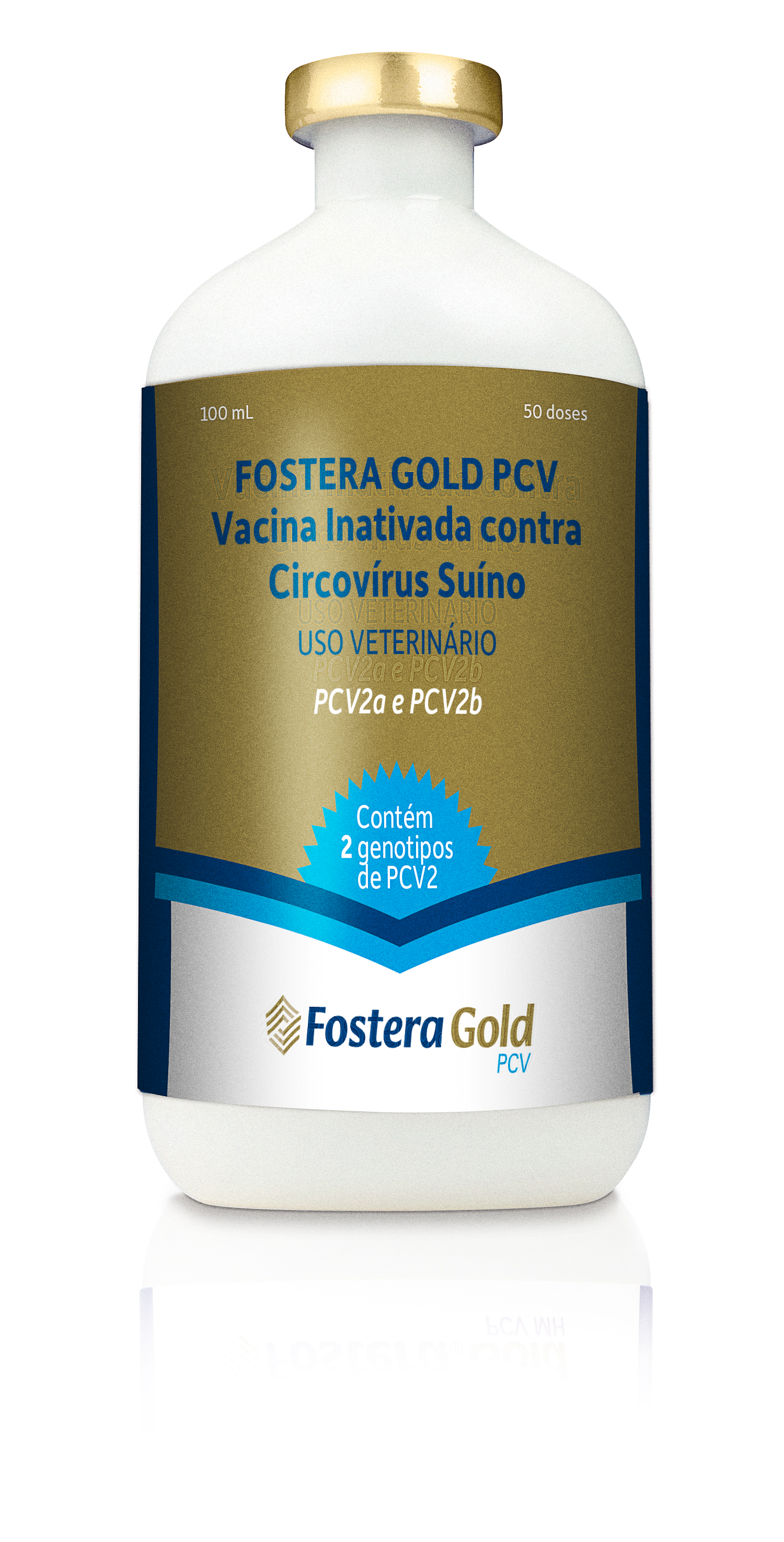 Fostera gold