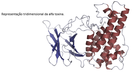 Representação tridimensional da alfa toxina