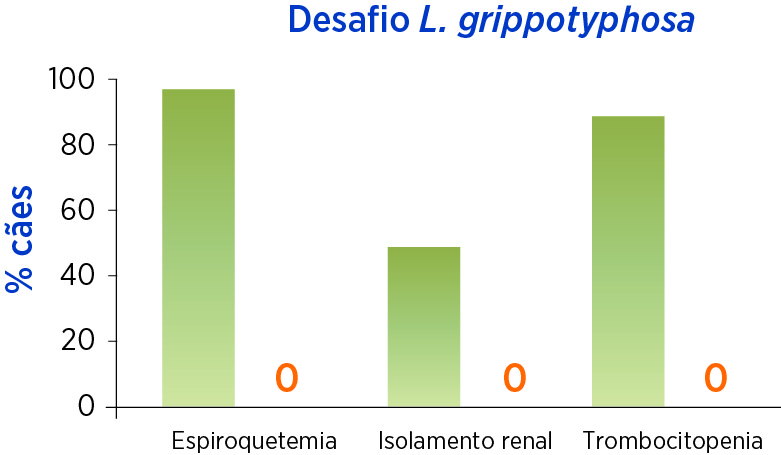 Desafio L. grippotyphosa
