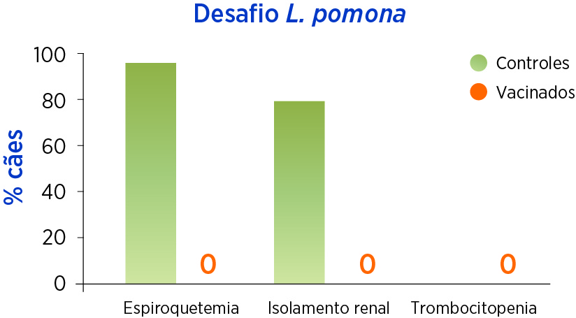 Desafio L. pomona