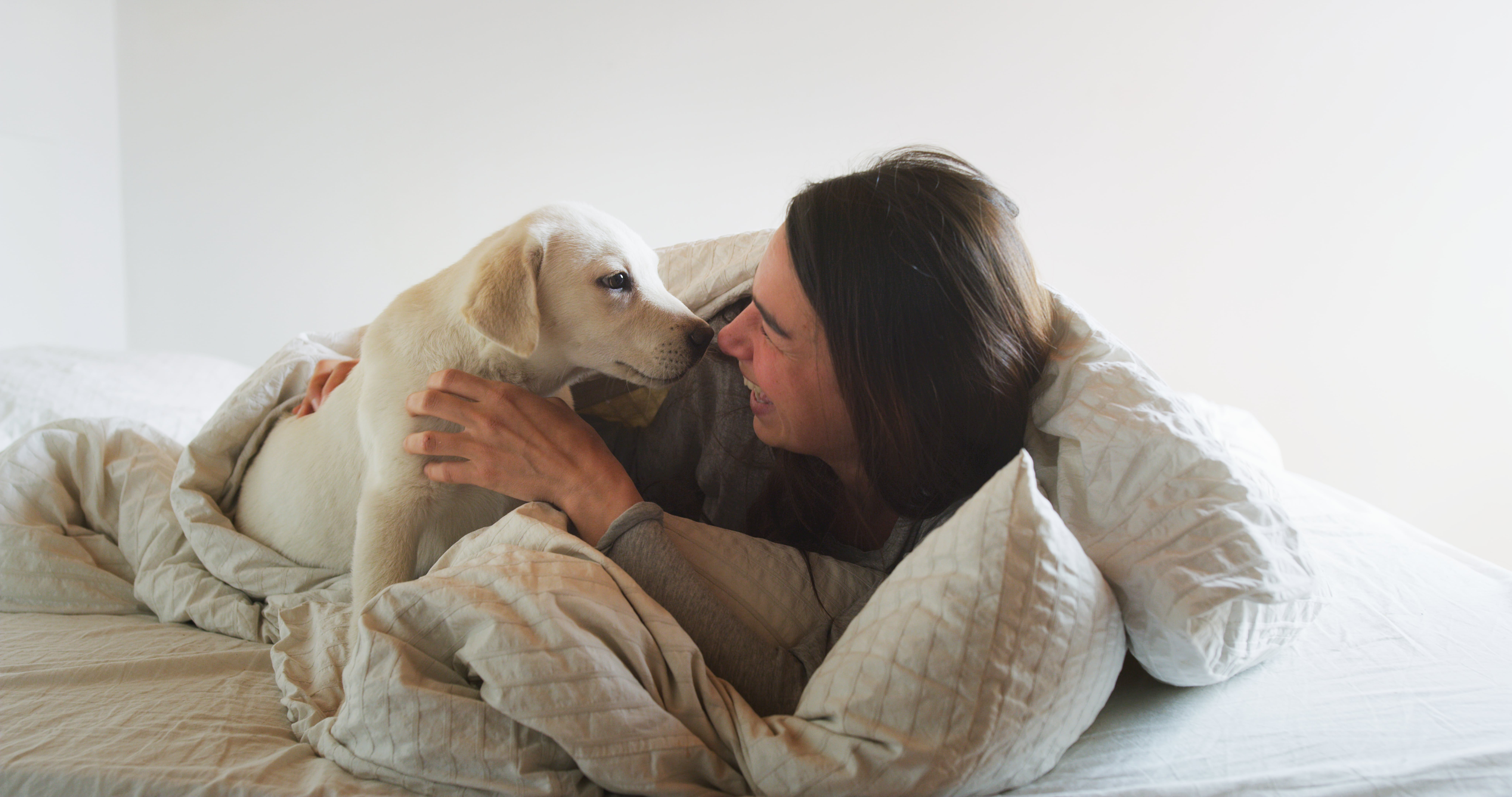 Tutora brincando com c&atilde;o