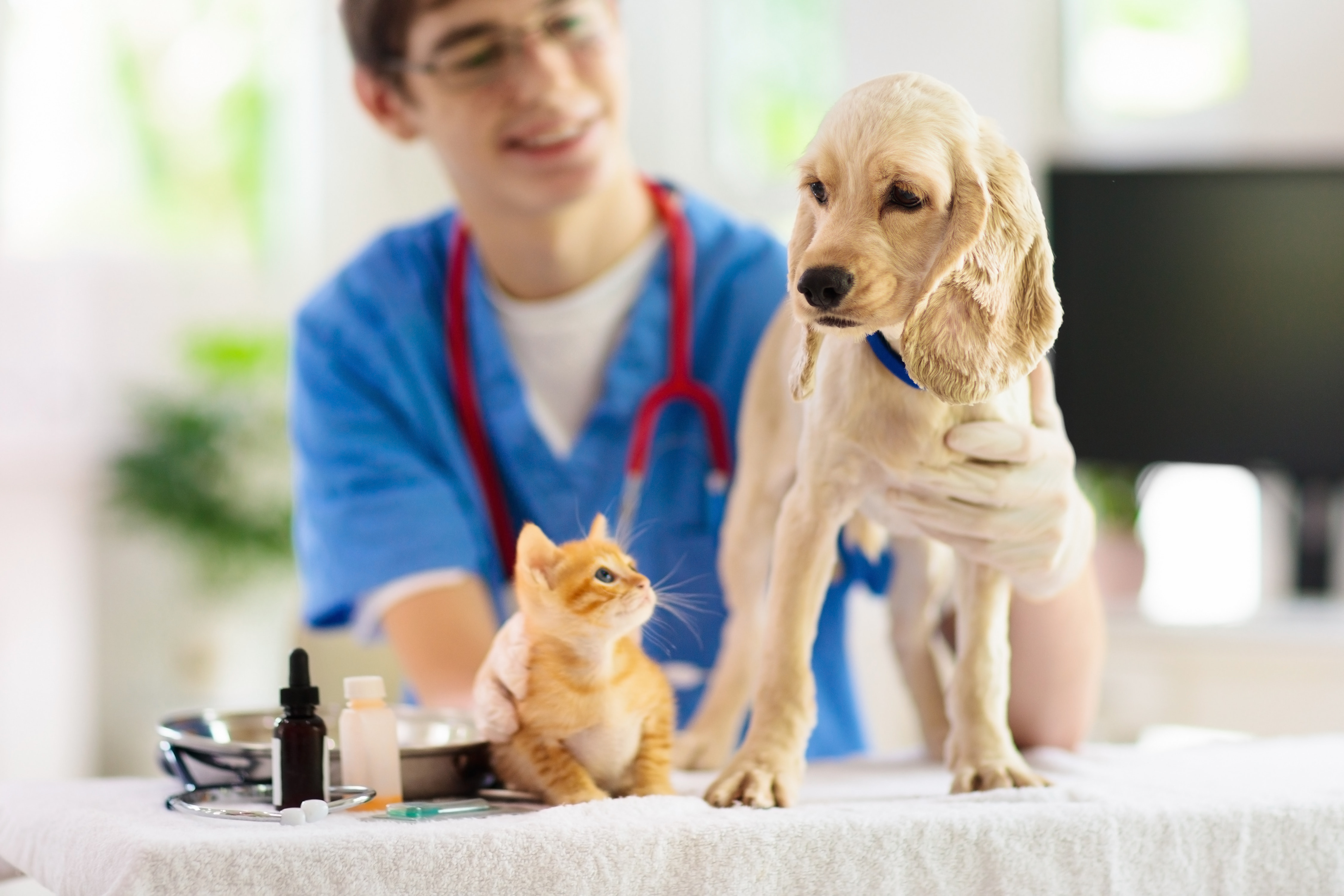 Médico-veterinário acompanhado por um cão e um gato