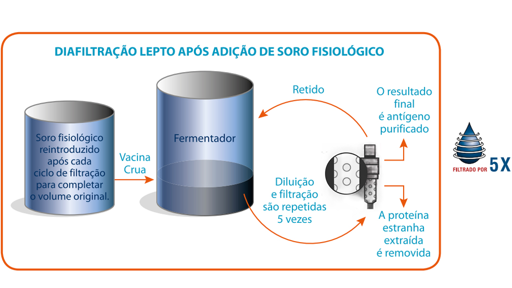 Figura 2 &ndash; O processo de diafiltra&ccedil;&atilde;o das bacterinas de Leptospira da linha Vanguard&reg;.