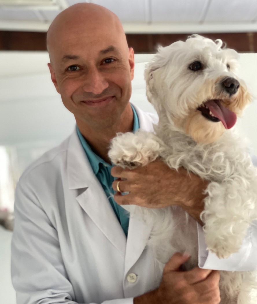 Médico-veterinário segurando um cão